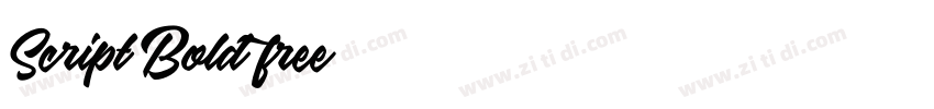 Script Bold free字体转换